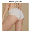 Threegun三枪 弹力棉条纹女三角裤-40812B0P1 商品缩略图5