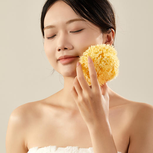 初心| 天然搓澡海绵希腊海绵 商品图2