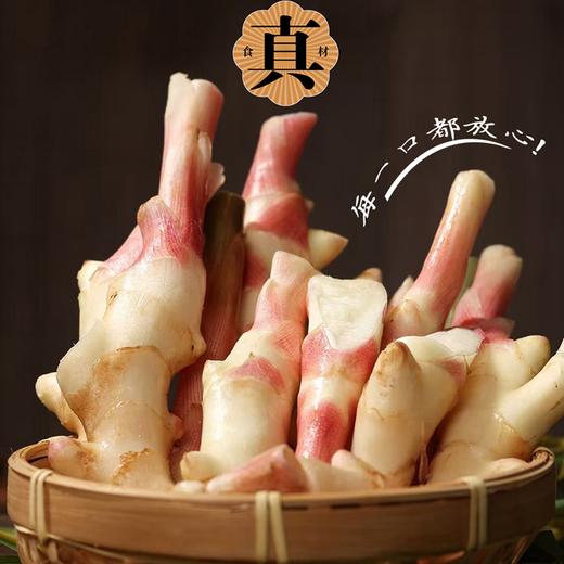 【地理标志产品 脆嫩爽口 防暑开胃】洪江市托口镇生姜（酸辣/糖醋/生抽）500g*2坛/送手提礼盒装 商品图3