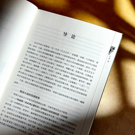 明清小说分类选讲 谭帆 普通高等教育十一五国家规划教材 商品图7