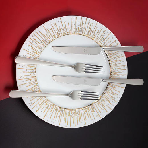 MEPRA牛排餐具12件套不锈钢西餐餐具 商品图0