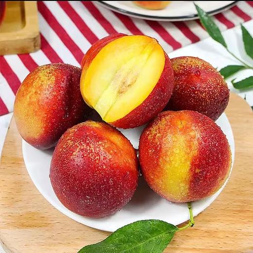 【生鲜预定】黄心油桃 1kg 商品图0