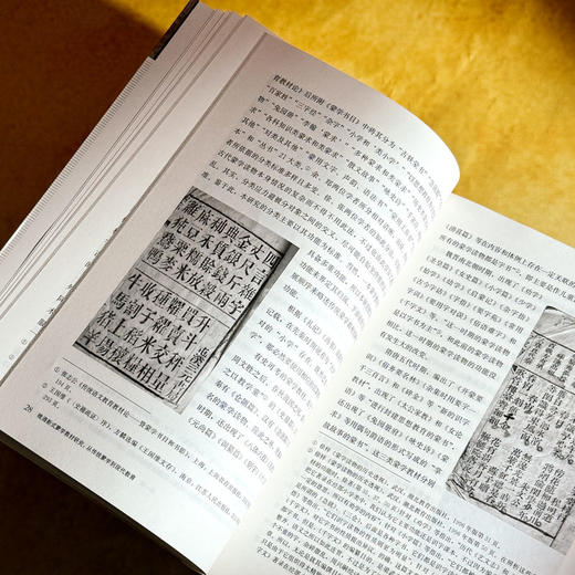 晚清新式蒙学教材研究 从传统蒙学到现代教育 张心科 近代教育史 商品图11