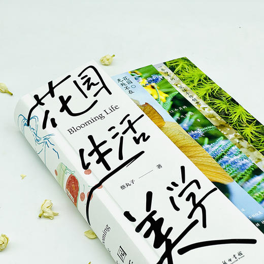 花园生活美学  蔡丸子 著  商务印书馆 商品图7