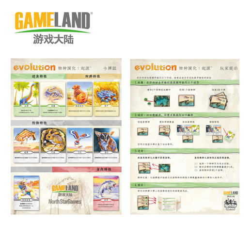 【木兰专享】游戏大陆物种演化起源卡牌桌游 | 规则简单易懂、玩法易理解、卡牌文字精简、亲子益智桌游 商品图4