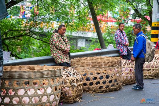 9.8确定出发【湖南湘西】峰林张家界•湘西集市人文•凤凰古城5天摄影 商品图7
