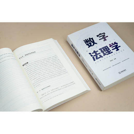 数字法理学 马长山主编 法律出版社 商品图3