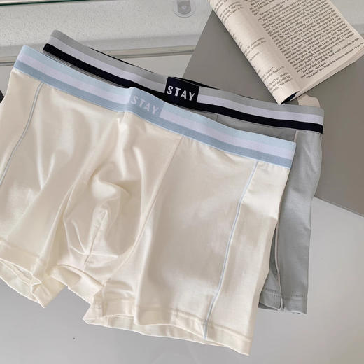 男士内裤男夏季莫代尔棉中腰平角裤透气吸汗大码无痕男生抗菌 商品图0