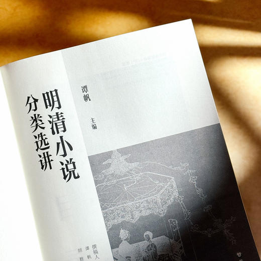 明清小说分类选讲 谭帆 普通高等教育十一五国家规划教材 商品图5