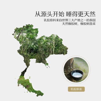 水星家纺乳胶枕头93%泰国进口原液乳胶枕头天然乳胶枕芯软弹舒适护颈椎枕 商品图1