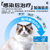 【Ramical雷米高】猫咪专用驱虫芬苯达唑猫咪体内驱虫药（4片/盒） 商品缩略图5