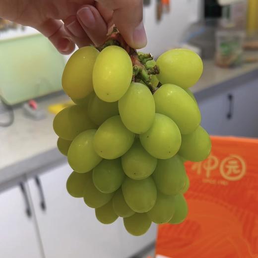 青提 土豪版特级精品 青提 商品图0