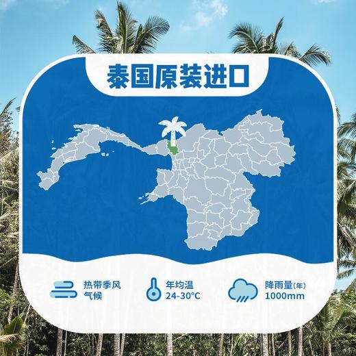 椰子知道100%椰子水1L 商品图4