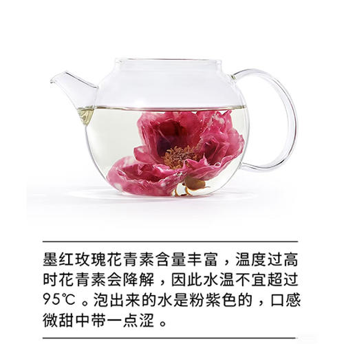 【手工甄选】花能量 冻干墨红玫瑰 20g/瓶 口感细腻味道浓郁 商品图2