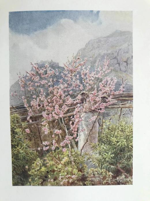 1907年 拉米亚的冬季 16幅彩色插图 漆布精装大32开 商品图4