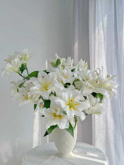 重瓣百合丨暴风雪三头 商品图2