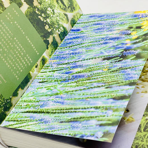 花园生活美学  蔡丸子 著  商务印书馆 商品图1