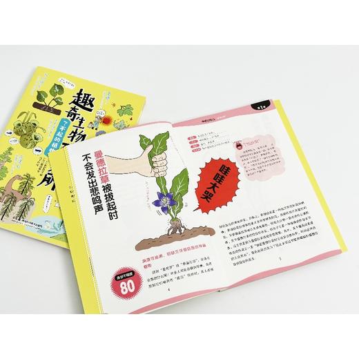 趣奇生物研究所 ：了不起的植物 商品图5