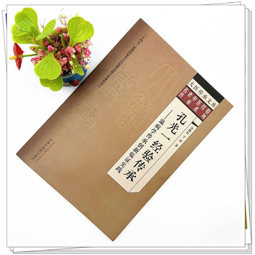 孔光一经验传承:温病学传承创新临证实践 谷晓红 于河 著 大医传承文库 名老中医经验传承系列 中国中医药出版社  商品图1