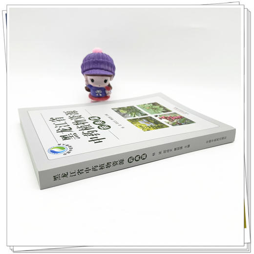 黑龙江省中药植物资源（药典篇）杨波 邵成文 樊锐锋 主编 中国中医药出版社 商品图2