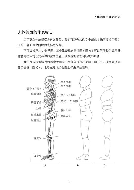 阿斯顿体态评估 商品图3