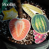 【苏州】HooBin/种子贺卡套装蔬果 可种植环保手工纸 商品缩略图2