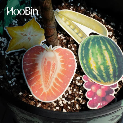 【苏州】HooBin/种子贺卡套装蔬果 可种植环保手工纸 商品图2