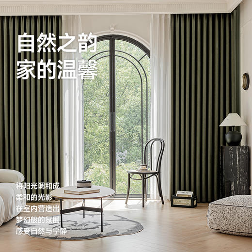 【松池】金蝉高克重雪尼尔窗帘 商品图6