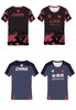乒乓球服速干衣透气运动服运动短袖夏季吸汗国家队训练服 商品缩略图0
