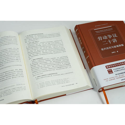 劳动争议二十讲：裁判规则与疑难释解 吴博文著 法律出版社 商品图4
