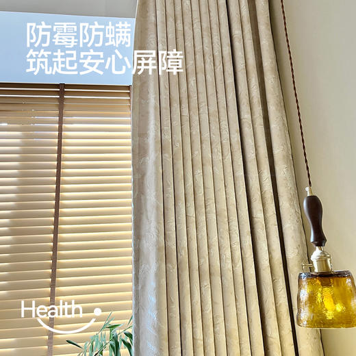 【艾莎】金蝉雪尼尔窗帘 商品图3