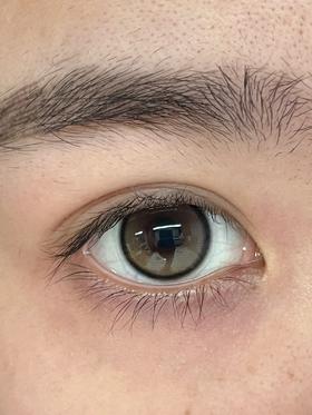 Yukicon日抛美瞳 纯爱甜棕 14.2mm