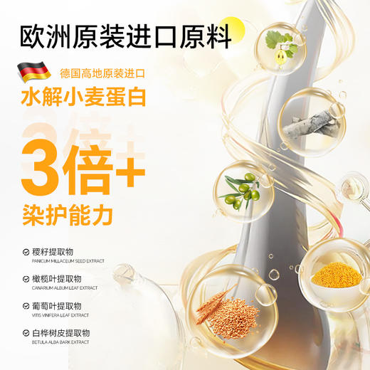 【每盒送发膜】圣诗婷【2盒装】经典植物染发剂-赠送鱼子酱发膜28ml+染发工具8件套   1221返团 商品图1