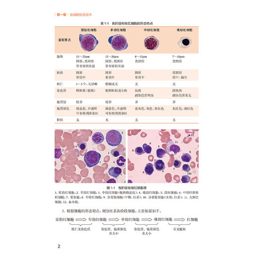 临床血液学检验技术实验指导 第2二版 十四五规划教材全国高等学校教材 王霄霞 主编 供医学检验技术专业用 人民卫生出版社 商品图4