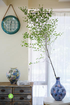 日本吊钟④（不含瓶）