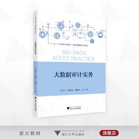大数据审计实务/“人工智能与大数据+”财经类融媒体系列教材/杜爱文/郝海霞/汤丽君主编/浙江大学出版社