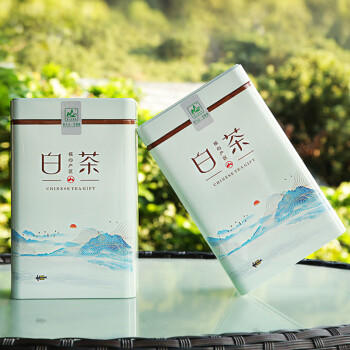 茗山生态茶  茶叶绿茶 明前新茶 白茶绿茶  嫩芽 共300g茶叶双罐装  /水饮冲调 /茗茶 /绿茶 商品图5