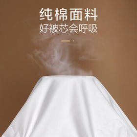 富安娜100%蚕丝被子母被双人春秋被芯四季纯棉二合一被9.8斤230*229cm