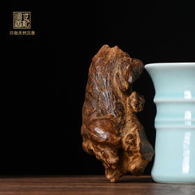 天然芽庄红土沉香原料 沉水级  SP11581