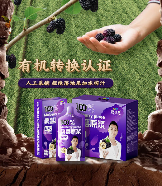 1盒5袋装 新品黑桑葚原浆  （体验装） 商品图12