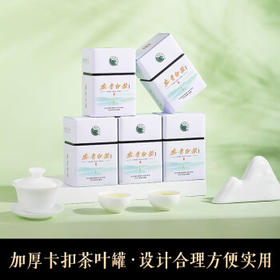 宋品2026新茶春茶安吉白茶明前特级绿茶送礼礼物茶叶礼盒装250g