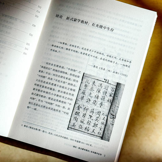 晚清新式蒙学教材研究 从传统蒙学到现代教育 张心科 近代教育史 商品图7
