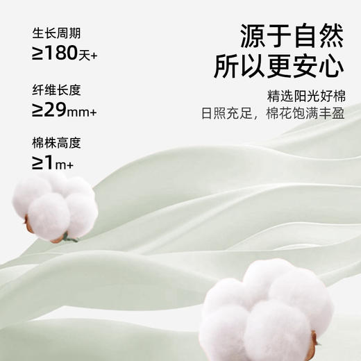 【商场同款】熳洁儿 男士家居服夏季95棉短袖短裤套装休闲可外穿24203951 商品图1