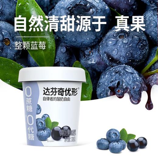 达芬奇优形蓝莓黑加仑３２０ｇ/盒 商品图0