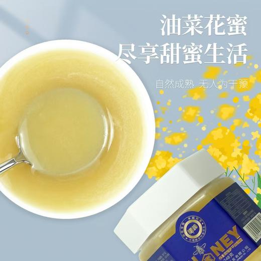 腊峰蜂业-油菜花蜜 1瓶*248g 厂家直发 商品图2