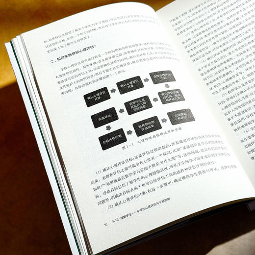 从“心”理解学生 中学生心理评估与干预策略 青少年心理教育 商品图9