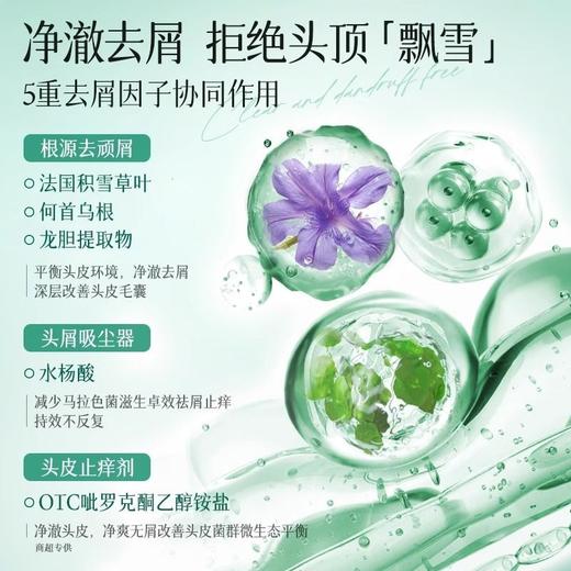 三个魔发匠菁萃净澈祛屑洗发水【宝库优选】 商品图5