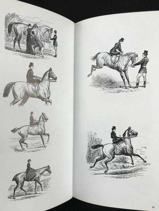 插图大全简编（含高清图光盘） 数千幅插图 精装16开 商品图5