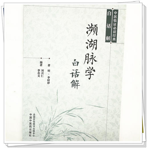 濒湖脉学白话解(明) 李时珍 著 中医临证必读经典白话解 中国中医药出版社 商品图3
