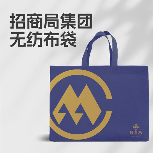 蓝神无纺布袋（10个装） 商品图0